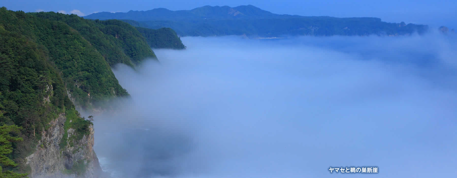 観光情報 田野畑村