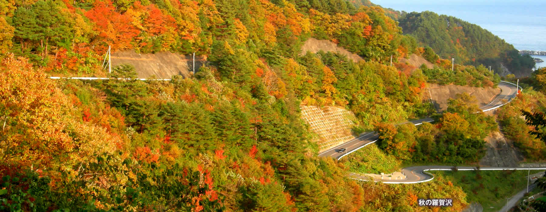 観光情報 田野畑村